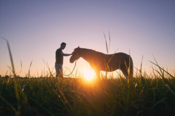 Bipolar Bonding And Healing Through Animal Therapy