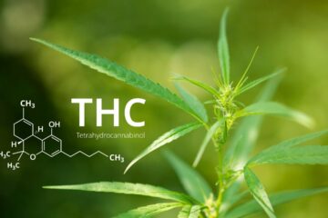Dangers Of THC-O Abuse